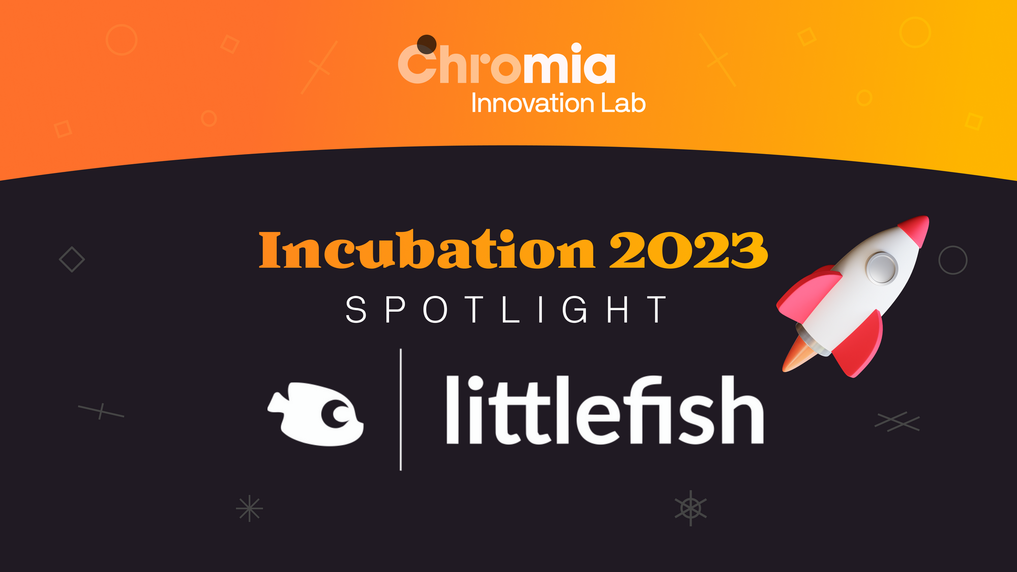 Chromia Incubation Program 2023 Spotlight: littlefish Foundation