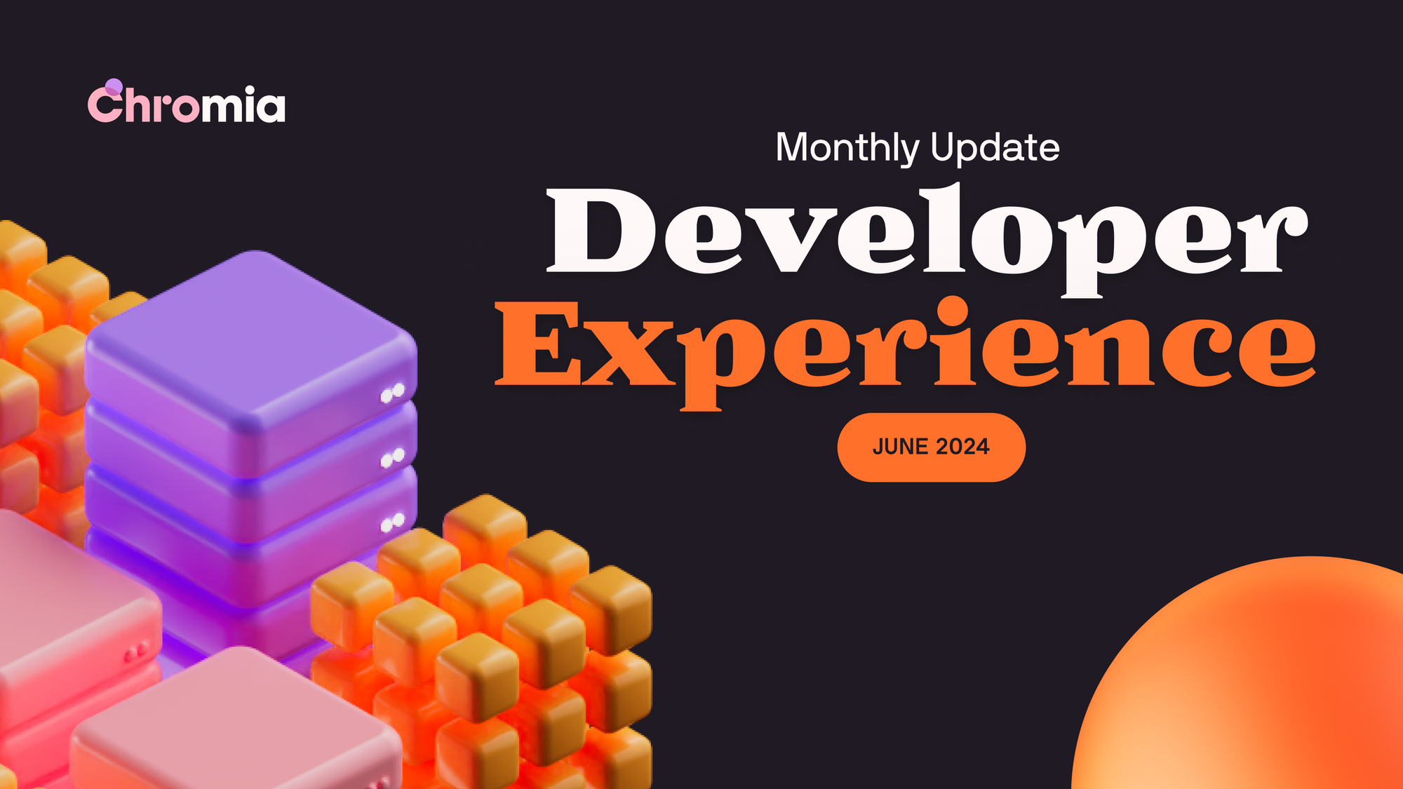 Developer Experience Team - Monthly Update #18 (June 2024)