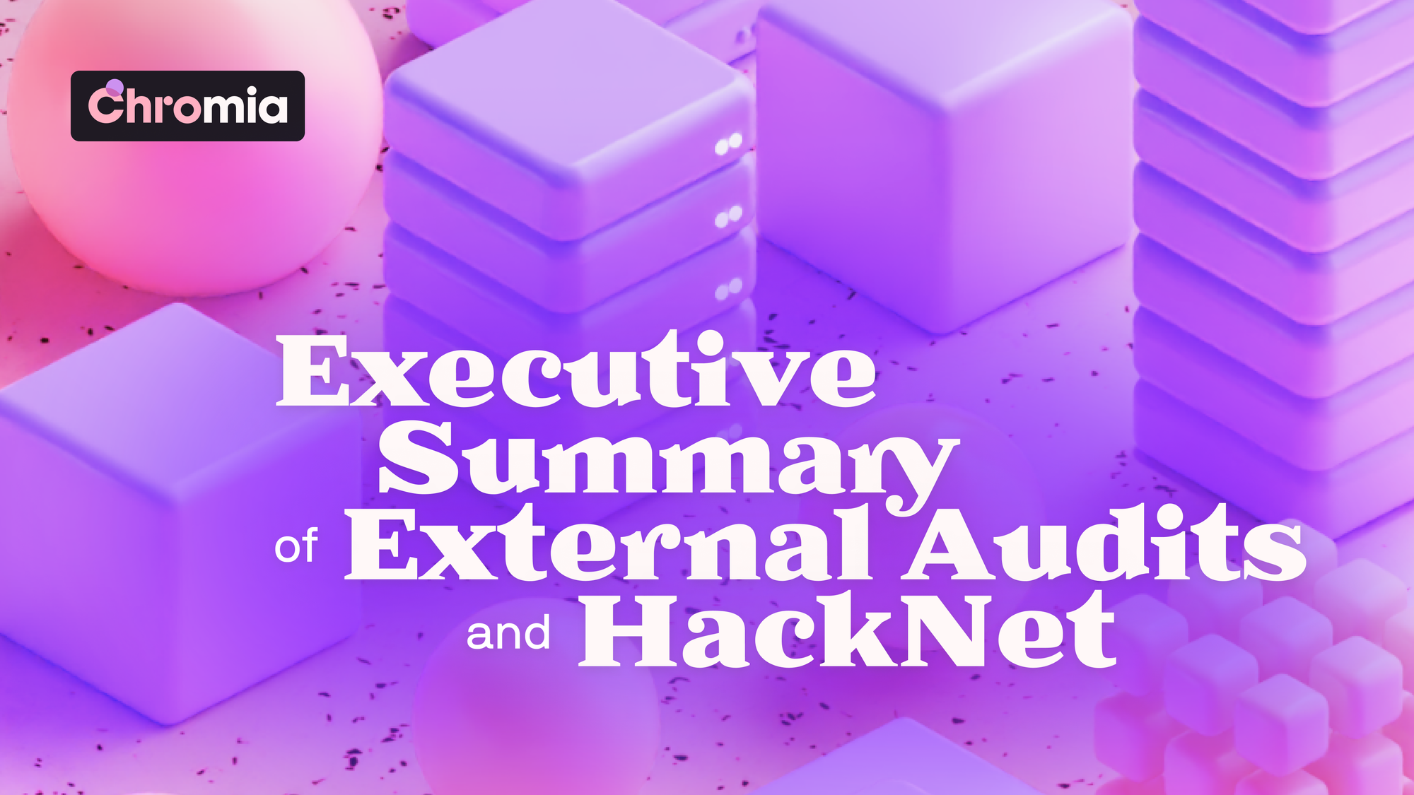 Executive Summary of External Audits and HackNet