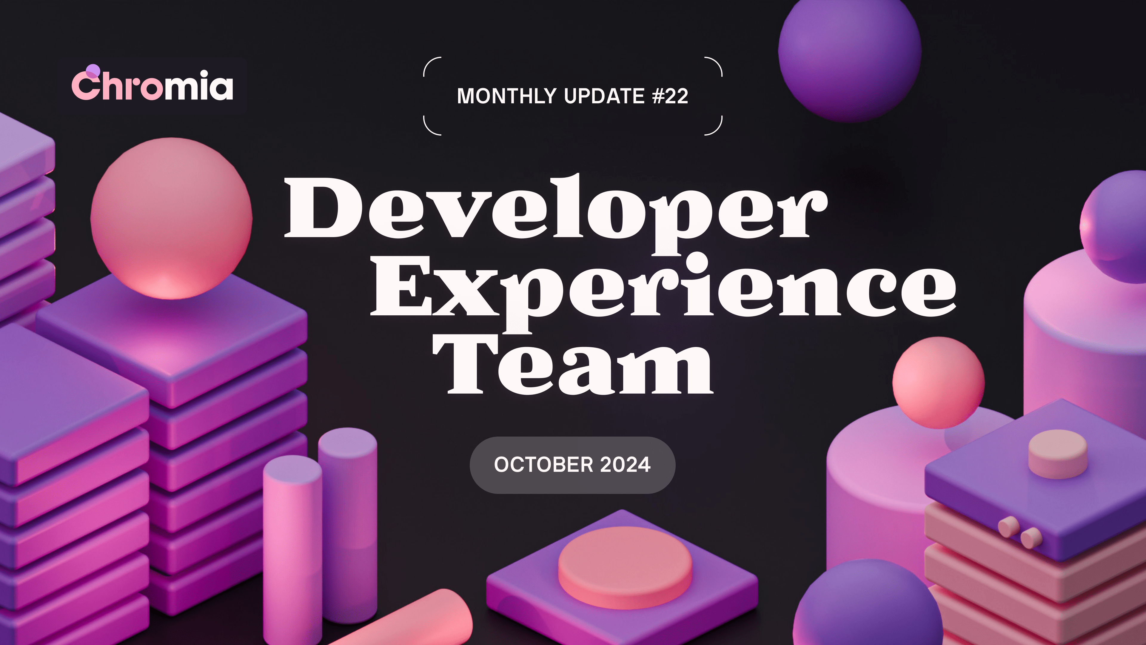 Developer Experience Team - Monthly Update #22 (October 2024)